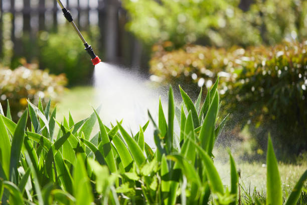 24/7 Emergency Cockroach Control experts in Bethany, OK