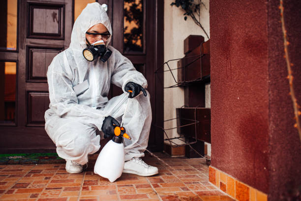 Reliable Cockroach Control contractor in Bethany, OK by Nex Pest Control