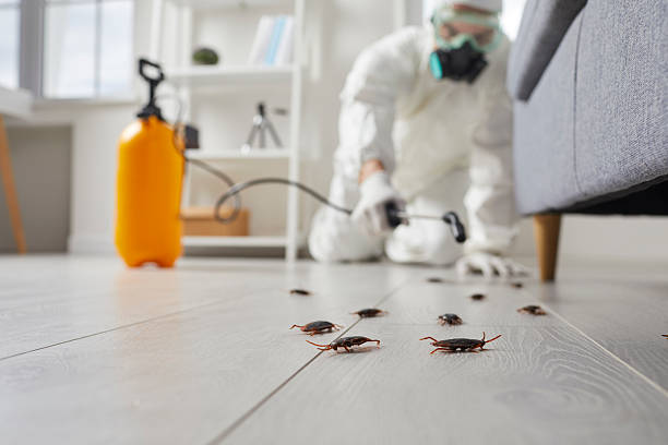 Trusted Fumigation Services service in Bethany, OK - Nex Pest Control