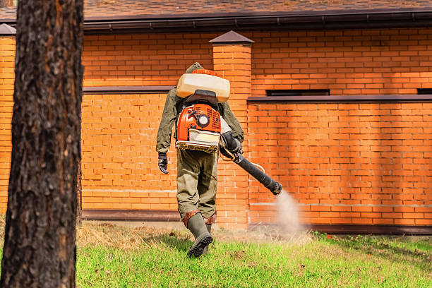 Trusted Bed Bug Control service in Bethany, OK - Nex Pest Control